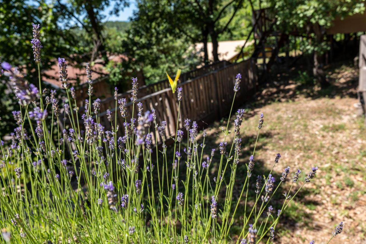 Domaine De Chalveches Hotel Spa 4* Faugeres  Zewnętrze zdjęcie