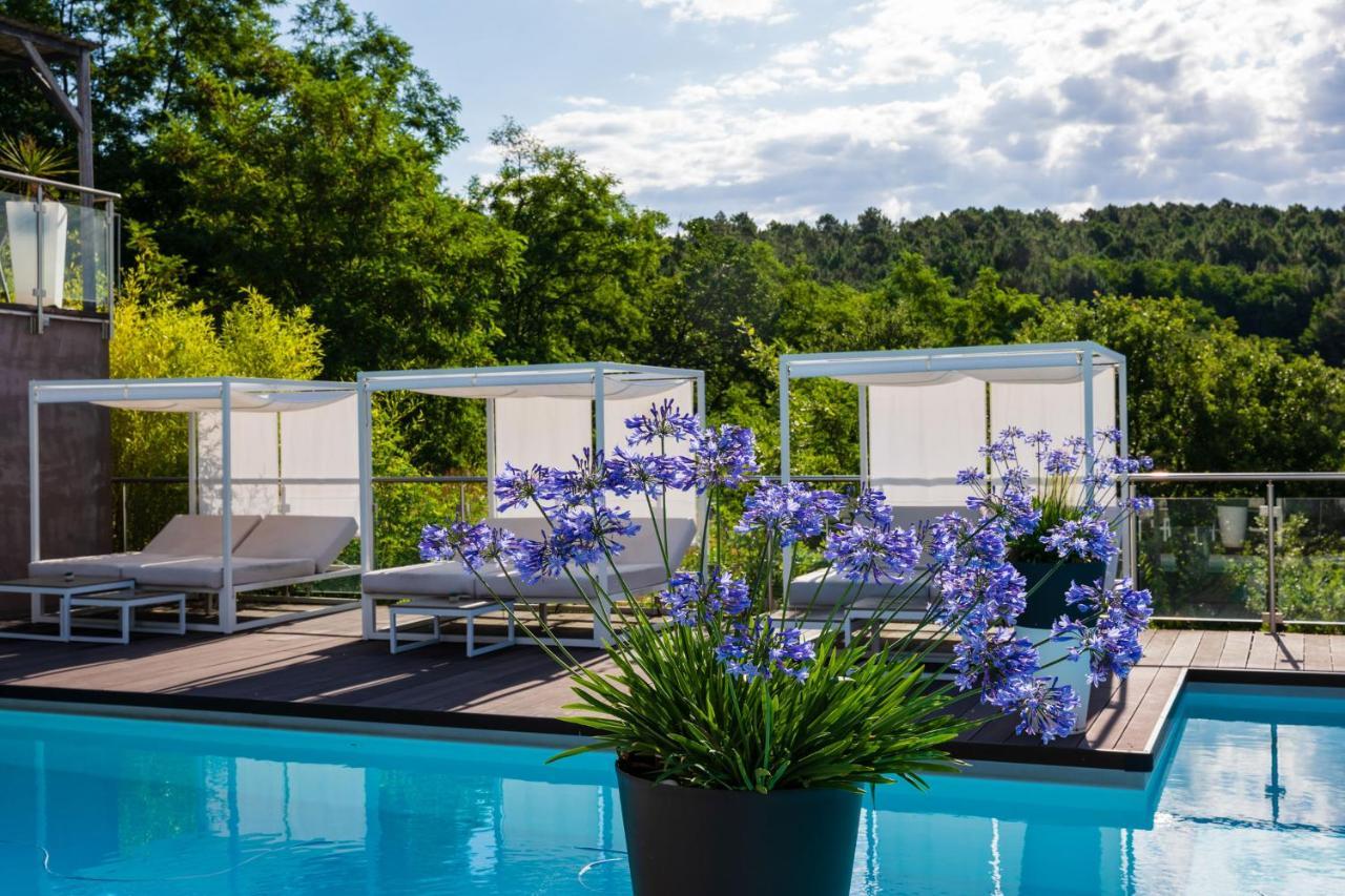 Domaine De Chalveches Hotel Spa 4* Faugeres  Zewnętrze zdjęcie